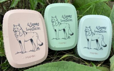 Salle de bain zéro déchet : 7 gestes simples pour commencer