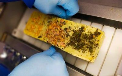 Comment faire durer un savon solide (et bien le conserver)